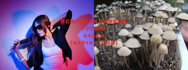 крисы Алексеевка