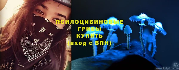 крисы Алексеевка