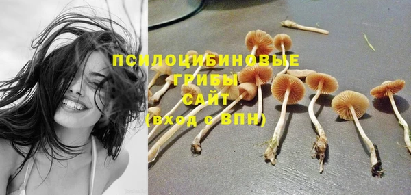 крисы Алексеевка