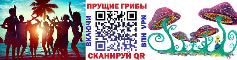продажа наркотиков  Мышкин  Псилоцибиновые грибы Magic Shrooms 